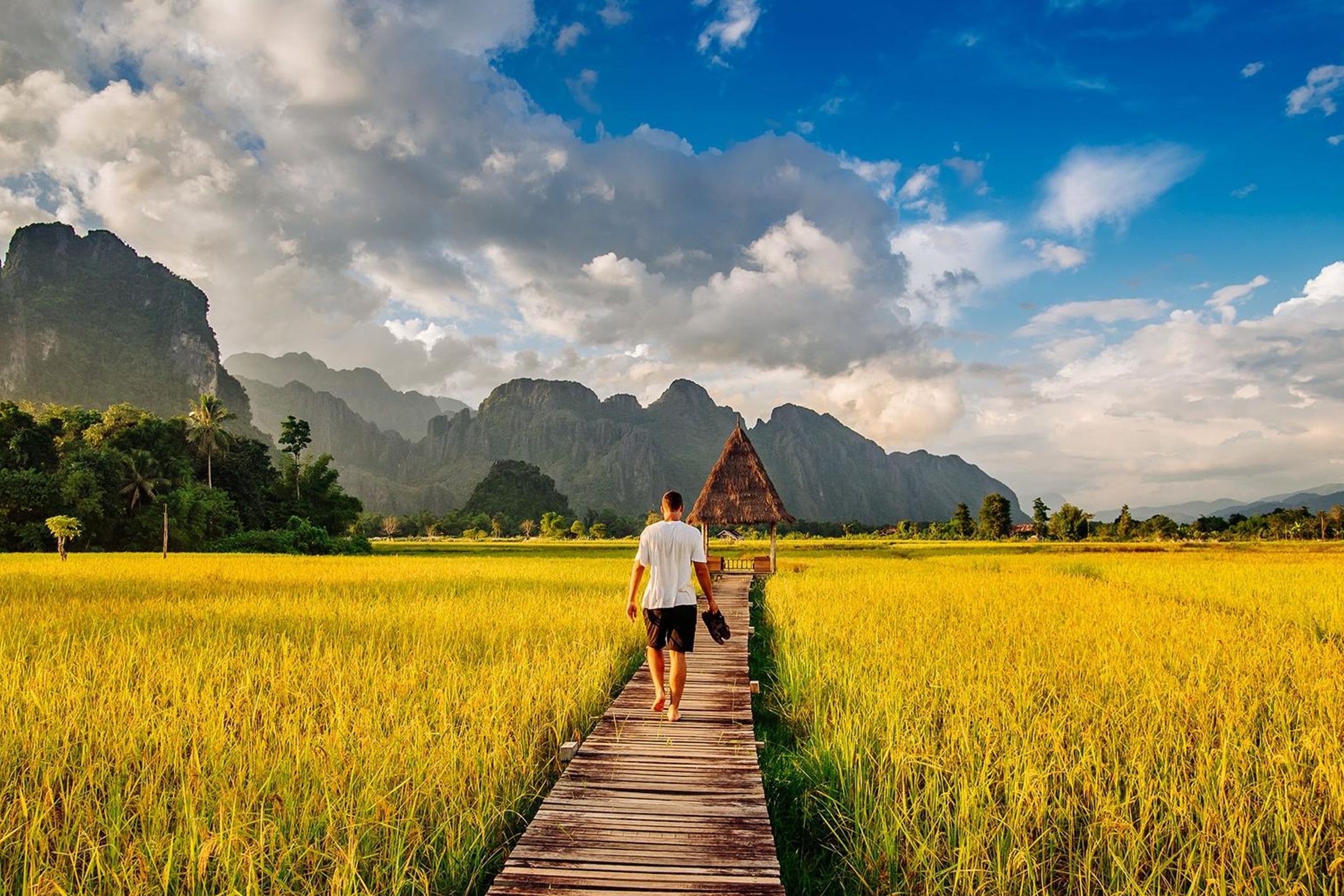 Laos Highlights